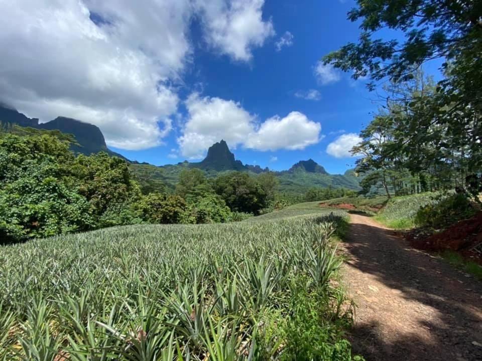 Beach De Reve De Moorea Hauru Exterior foto